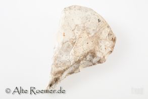 Flintbohrer aus dem Mesolithikum