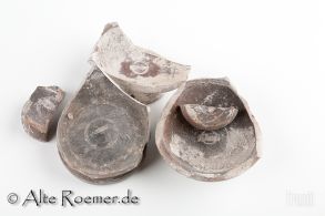 Fünf Fragmente von Terra Sigillata Gefäßen mit Herstellerstempeln