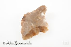 Pfeilspitze oder Speerspitze aus der Altsteinzeit
