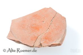 Terra Sigillata Boden mit Stempel COCVSF