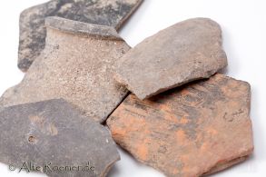 5 Terra Nigra Scherben