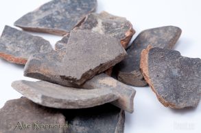 10 kleine Terra Nigra Scherben