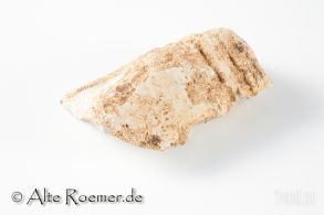 Schaber oder Messer, Homo Neanderthalensis