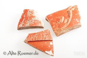 Gruppe von 3 mittelgroßen Terra Sigillata-Scherben