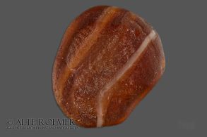 Antikes römisches Intaglio kaufen