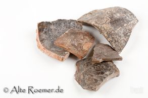 Scherben von Terra Sigillata-Gefäßen, verziert und glatt, ein Gefäßboden gestempelt