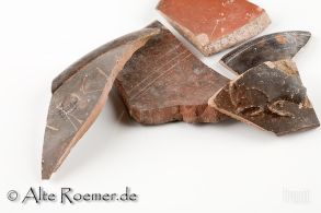 Scherben von Terra Sigillata-Gefäßen, verziert und glatt, ein Gefäßboden gestempelt