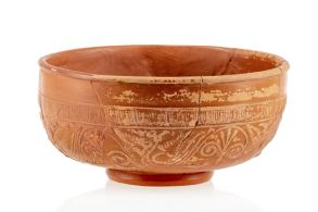 Large Terra Sigillata bowl from the Rhineland decorated with plants