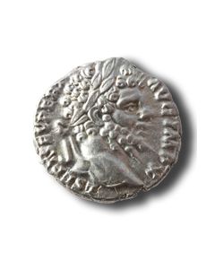 Septimius Severus Denar mit Tierrevers