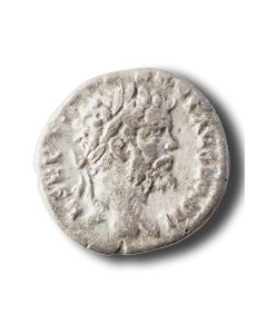 Denar des Septimius Severus - Moneta