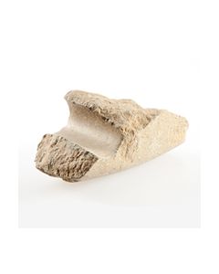 Fragment eines neolithischen Axtkopfes