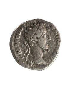 Buy a Commodus Denarius - Roma on shield