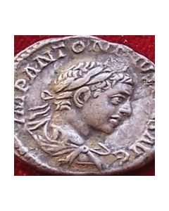 Elagabal - Severus Alexander. Denar
