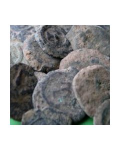 Ungereinigte Lepta&#044; Witwenscherflein (Q2&#044; Gute Qualität)