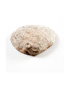 Gewicht in Muschelform