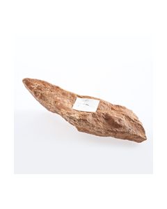 Bohrer oder Stichel des Homo heidelbergensis