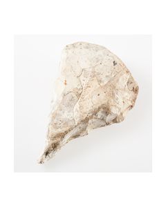 Flintbohrer aus dem Mesolithikum
