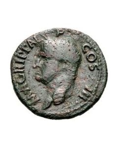 As des Agrippa - Neptun