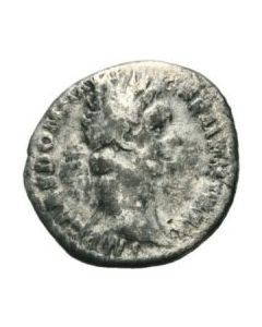 Denar des Domitian - Athena
