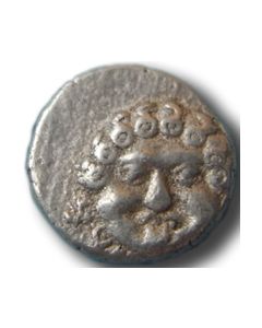 AR Drachme Apollonia Pontica - Reversvariante