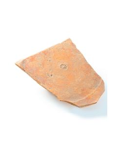 Terra Sigillata Boden mit Symbolstempel