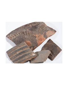 4 Terra Nigra Scherben