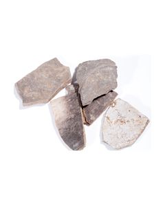 5 Terra Nigra Scherben