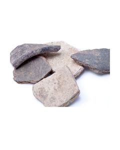 5 Terra Nigra Scherben