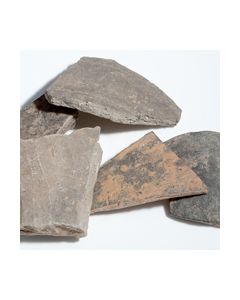 5 Terra Nigra Scherben