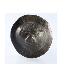 Bronzeaplike