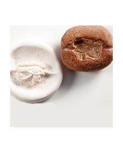 Ägyptische Gussform aus der 3. Zwischenzeit