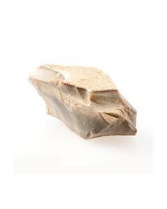 Schaber&#044; Homo Neanderthalensis