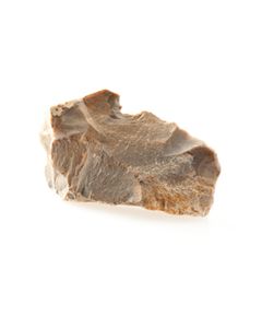 Schaber&#044; Homo Neanderthalensis