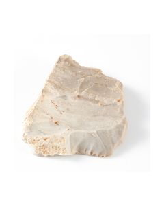 Schaber&#044; Homo Neanderthalensis