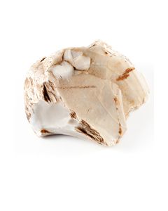 Schlagstein oder Hammer des Neandertalers