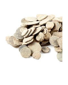 100 ungereinigte römische Münzen aus Judäa