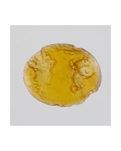 Römisches Intaglio mit Zeus-Amun kaufen