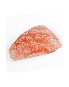 Römisches Terra Sigillata Fragment mit Tierdarstellung