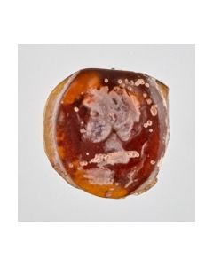 Römisches Intaglio