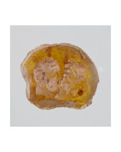 Antikes römisches Intaglio kaufen