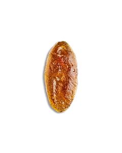 Antikes römisches Intaglio kaufen
