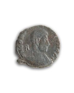 Bronze des Constantius Gallus - Ungewöhnlich schweres Belegstück