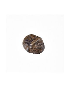 Buy Egyptian bronze scarab