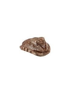 Buy Egyptian scarab with a falcon's head
