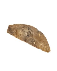 Neolithic flint sickle