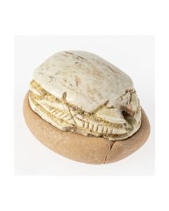 Buy canaanite scarab