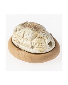 Buy canaanite scarab