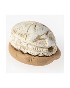Buy canaanite scarab