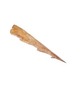 Buy Mesolithic Harpoon