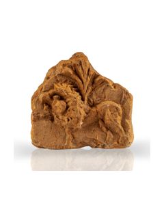 Römisches Antefix aus Legionslager mit Löwe - Fund aus Novaesium mit bekanntem Fundjahr und Ort